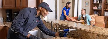 Best Residential Pest Control  in Farmington, PA